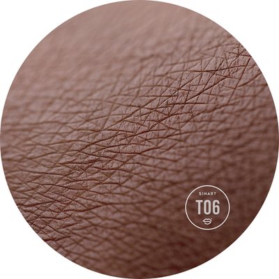 T06 EXTRA Dimension Velor Eyeshadow pressed shadows for eyelids