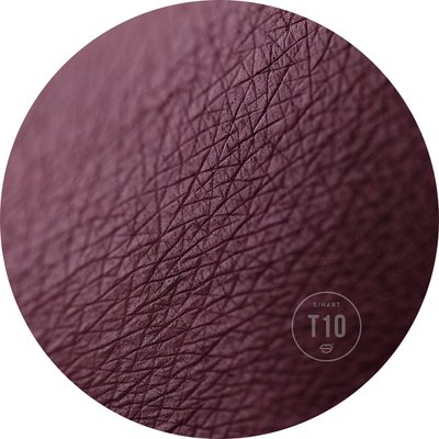 T10 EXTRA Dimension Velor Eyeshadow pressed shadows for eyelids