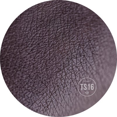 TS16 Extra Dimensional Velor Eyeshadow pressed shadows