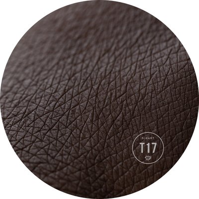 T17 EXTRA Dimension Velor Eyeshadow pressed shadows for eyelids