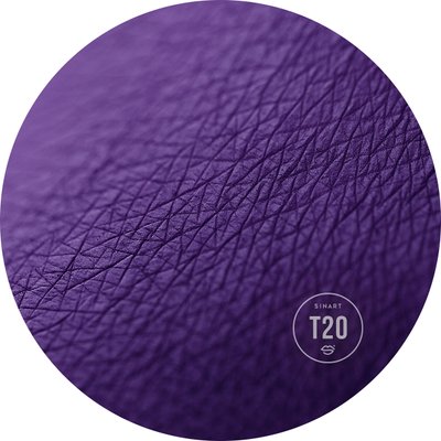 T20 EXTRA Dimension Velor Eyeshadow pressed shadows for eyelids