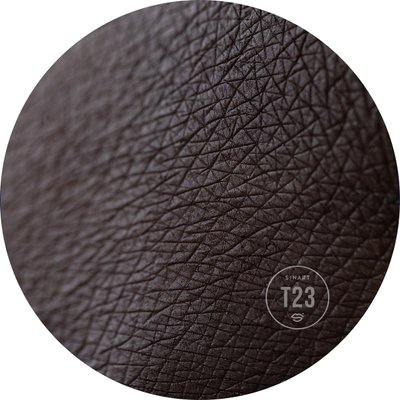 T23 Extra Dimension Velor Eyeshadow pressed shadows for eyelids