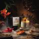 Collaboration Menuet (Spices) свеча ароматическая S1354 фото 4