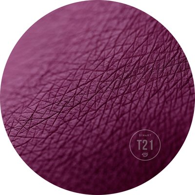 T21 EXTRA Dimension Velor Eyeshadow pressed shadows for eyelids